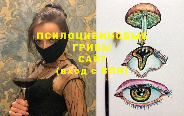 индика Алексин