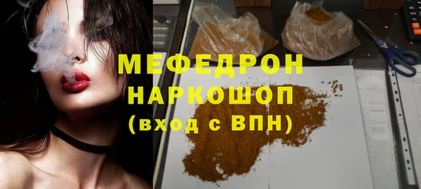 индика Алексин