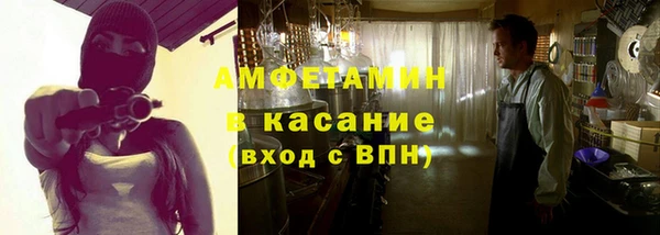 индика Алексин