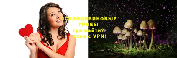 индика Алексин