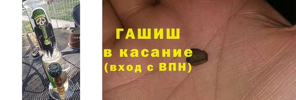 индика Алексин