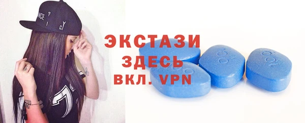 индика Алексин