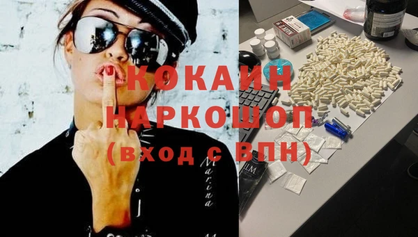 индика Алексин