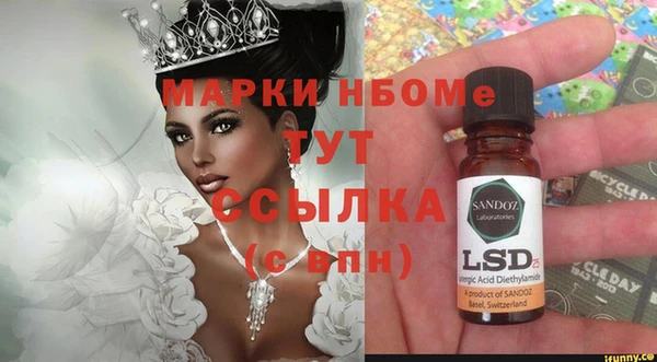 индика Алексин